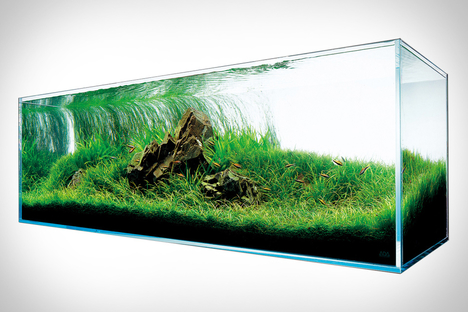 Nature Aquariums Nature Aquariums