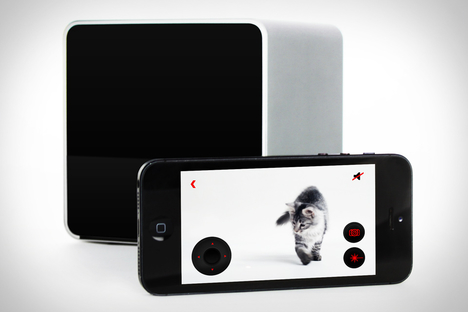 Petcube Petcube