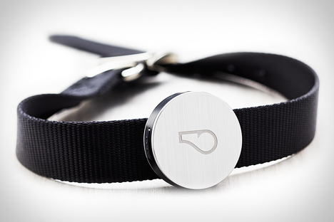 Whistle Dog Activity Monitor Whistle Dog Activity Monitor