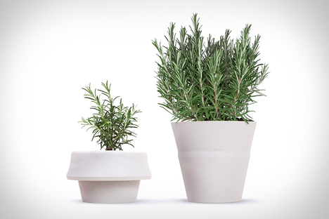 FoldPot FoldPot
