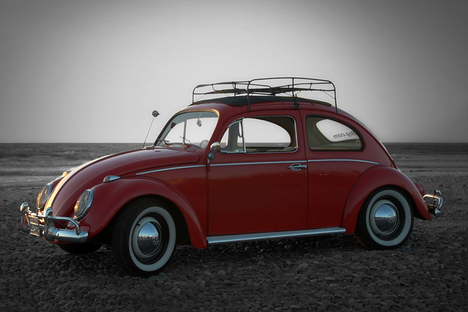 ZelectricBug ZelectricBug