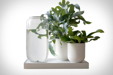 Tableau Automatic Plant Watering Tray Tableau Automatic Plant Watering Tray