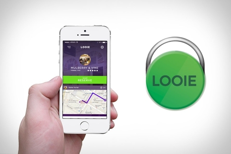 Looie Looie