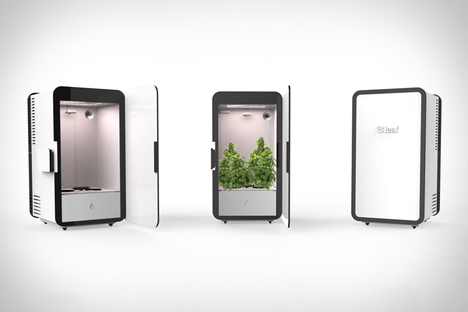 Leaf Cannabis Growing System Leaf Cannabis Growing System