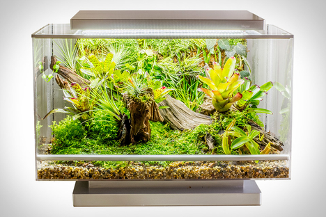 Biopod Microhabitat Biopod Microhabitat