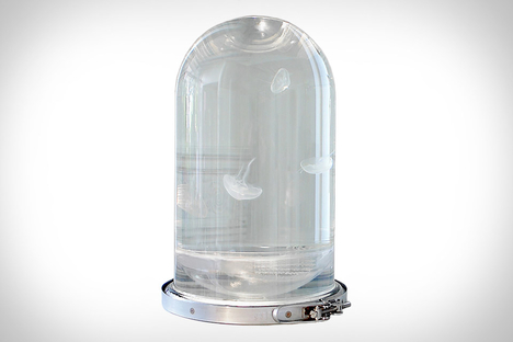 Darwin Jellyfish Tank Darwin Jellyfish Tank