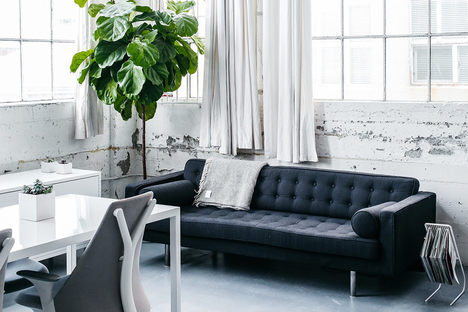 Everlane Office
