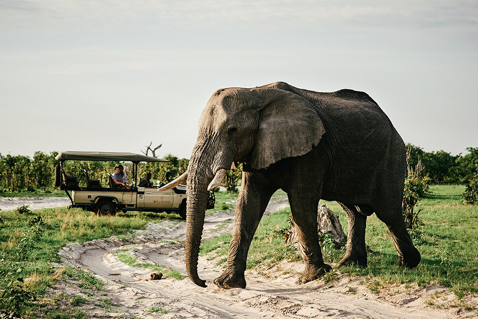 Journeys with Belmond