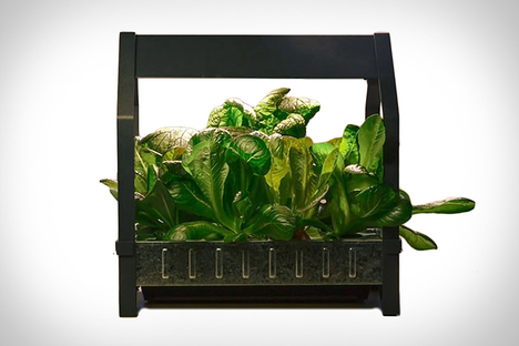 Ikea Indoor Garden Ikea Indoor Garden