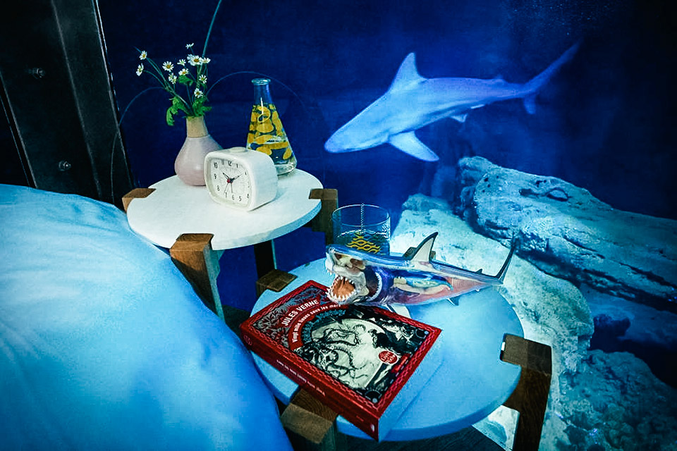 Shark Aquarium Underwater Bedroom