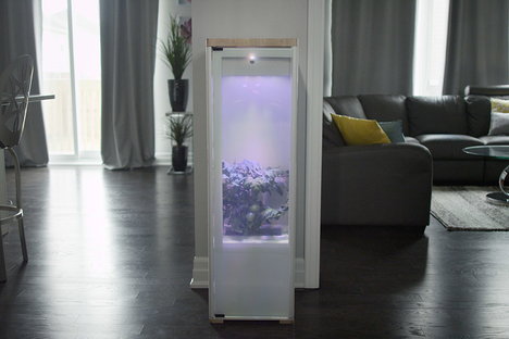 Grobo Indoor Garden Grobo Indoor Garden