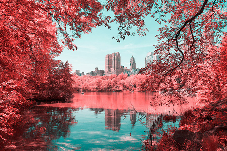 Infrared NYC Infrared NYC