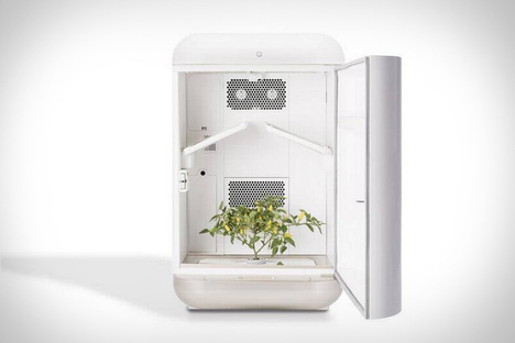Seedo Hydroponic Growing System Seedo Hydroponic Growing System