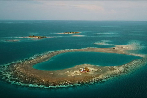 Bird Island Bird Island