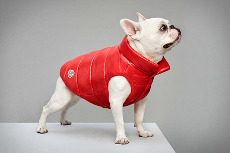 Moncler x Poldo Dog Apparel Moncler x Poldo Dog Apparel