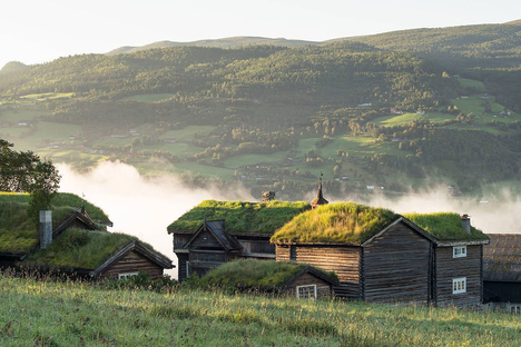 Nordigard Blessom Farm Nordigard Blessom Farm