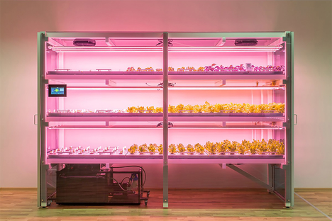 Click & Grow Smart Farm Click & Grow Smart Farm