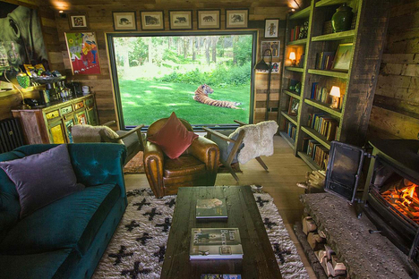 Tiger Lodge Tiger Lodge