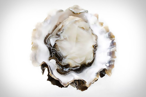 Hama Hama Oysters Hama Hama Oysters