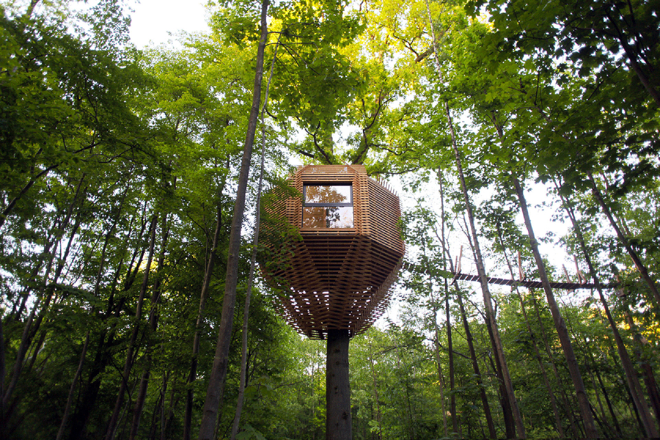 Casa Origin Tree | Uncrate