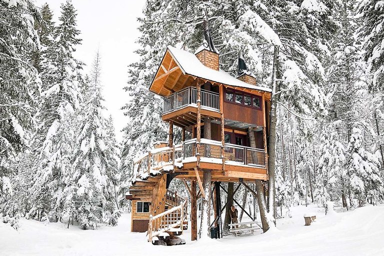 Montana Treehouse Retreat