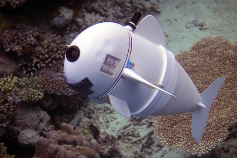 MIT SoFi Robotic Fish MIT SoFi Robotic Fish