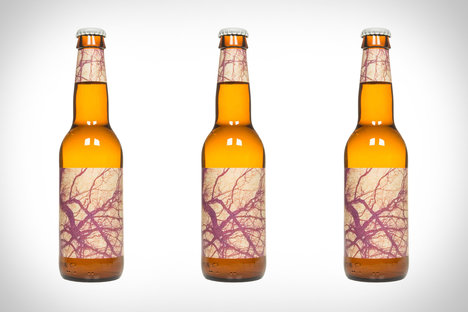 To Ol Sur Tangerine Mosaic Shandy