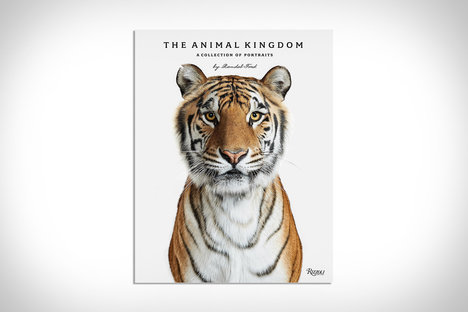 The Animal Kingdom The Animal Kingdom