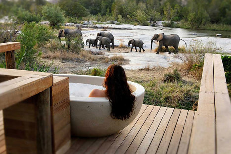 Londolozi Game Reserve Londolozi Game Reserve