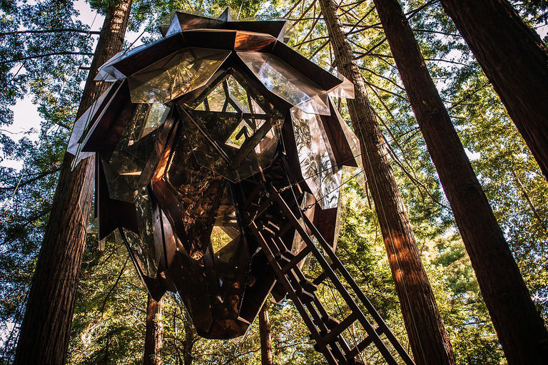 Pinecone Treehouse