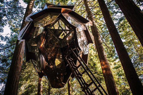 Pinecone Treehouse Pinecone Treehouse