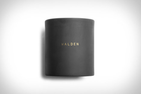 Walden Candle