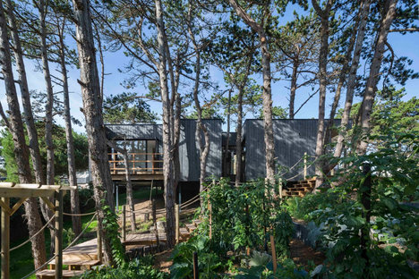 Baumhaus der Cote d'Armor