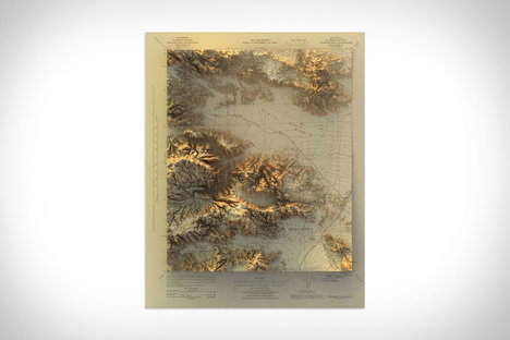 Joshua Tree Print Joshua Tree Print