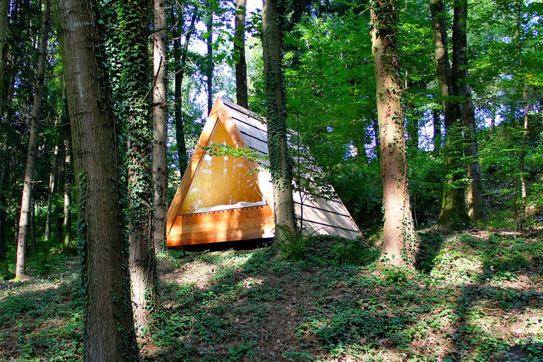 Lushna Villa Massive Cabin