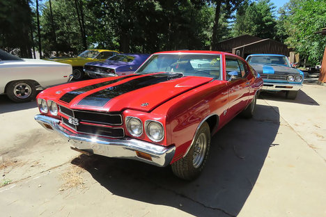 Coyote Johnson Muscle Car Collection