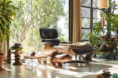 Eames Eucalyptus LTR Table Eames Eucalyptus LTR Table