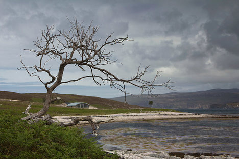 Shore Cottage Shore Cottage