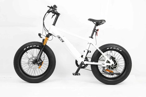 CSC FT750 Fat Tire E-Bike CSC FT750 Fat Tire E-Bike
