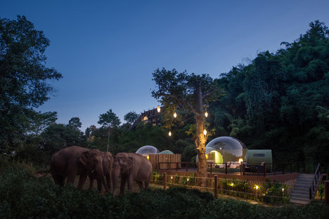 Anantara Jungle Bubbles Anantara Jungle Bubbles