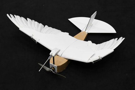 Pigeonbot Feathered Drone Pigeonbot Feathered Drone