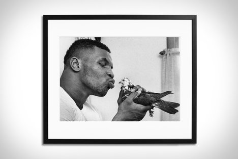 Mike Tyson Framed Print Mike Tyson Framed Print