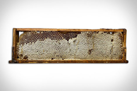 Black Locust Honeycomb Black Locust Honeycomb