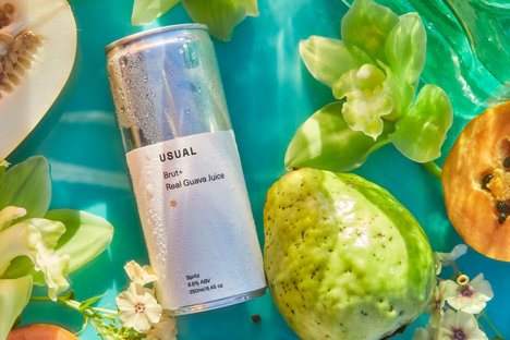 Usual Guava Spritz Usual Guava Spritz