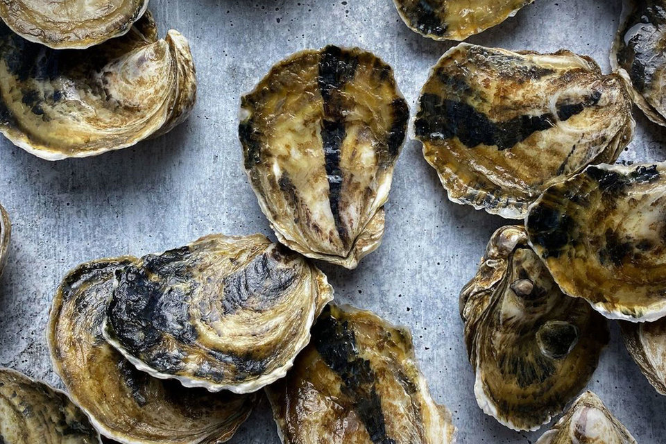 Wellfleet Royale Oysters Uncrate