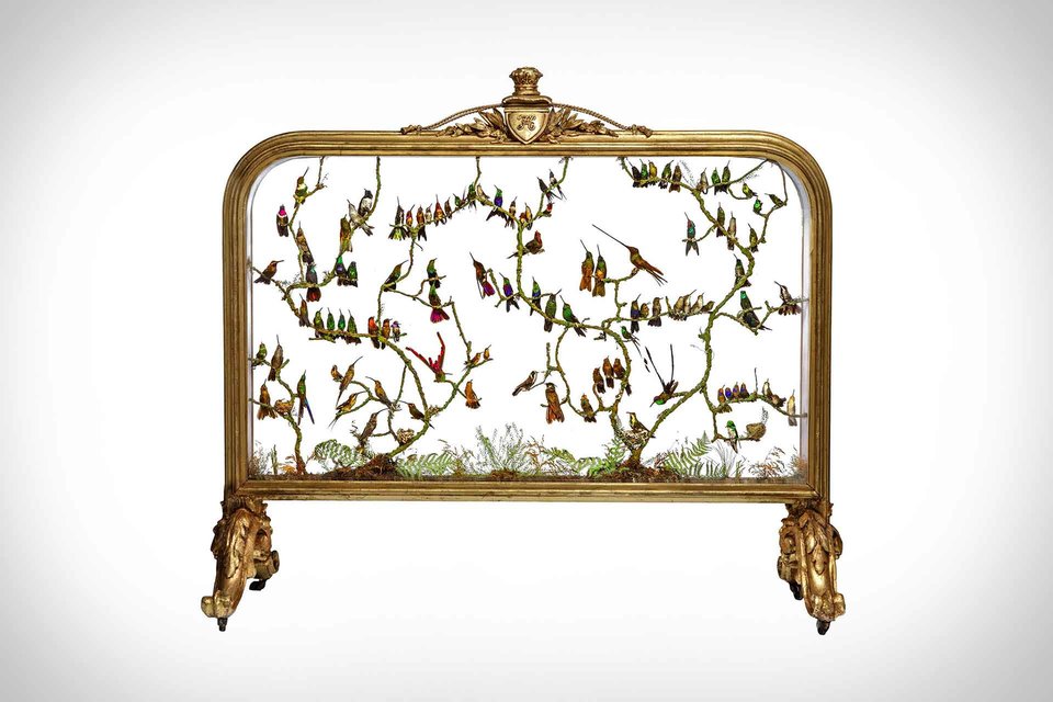 Victorian Hummingbird Firescreen | Uncrate