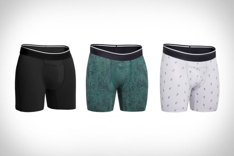 Alle Bürger Boxer Briefs