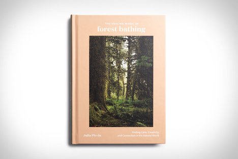 The Healing Magic of Forest Bathing The Healing Magic of Forest Bathing