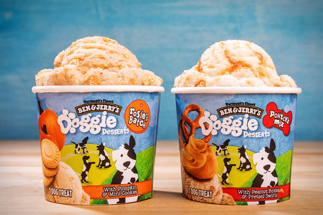 Ben & Jerry's Doggie Desserts Ben & Jerry's Doggie Desserts