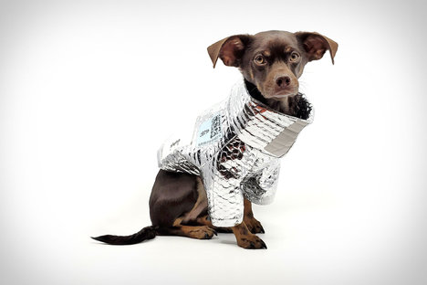 Rajeev Basu Dog Delivery Jacket Rajeev Basu Dog Delivery Jacket
